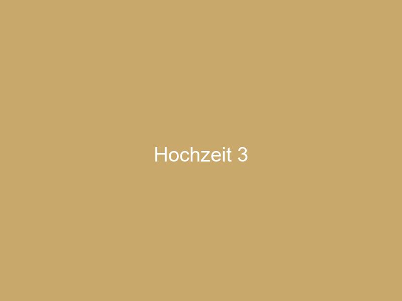 hochzeiten_3
